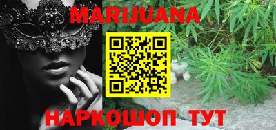 шишки Заволжье