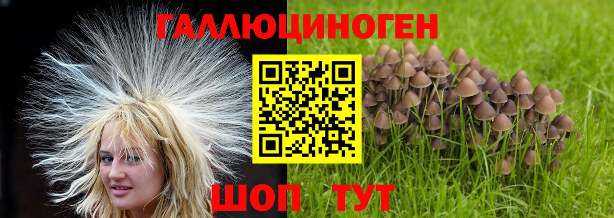 Псилоцибиновые грибы Psilocybe  Псилоцибиновые грибы MAGIC MUSHROOMS  Вход с VPN  Курган 