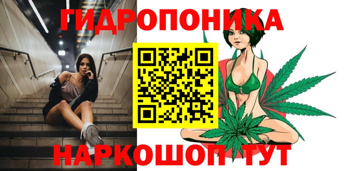 Канабис сатива  Конопля индика  Курган  Вход с VPN 
